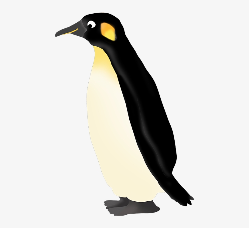 460 X 673 5 - King Penguin, transparent png download