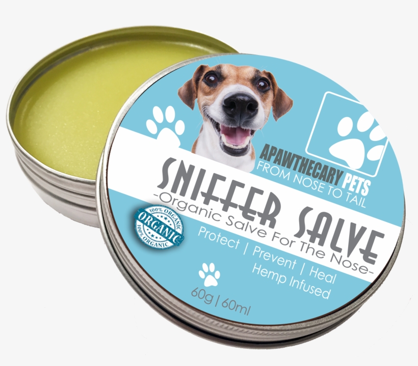 Companion Dog, transparent png download