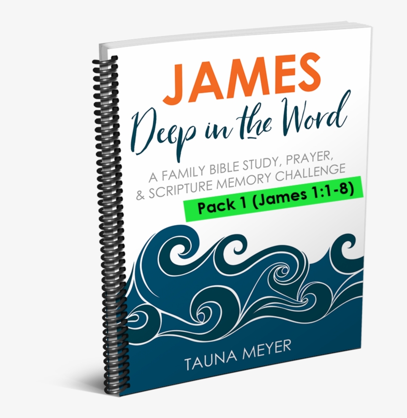 James Scripture Challenge (james - Graphic Design, transparent png download