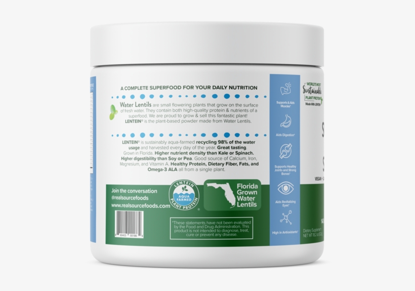 Bee, transparent png download