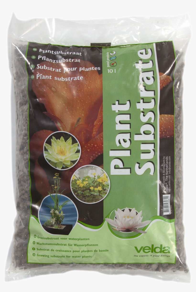 Plant Substrate, transparent png download