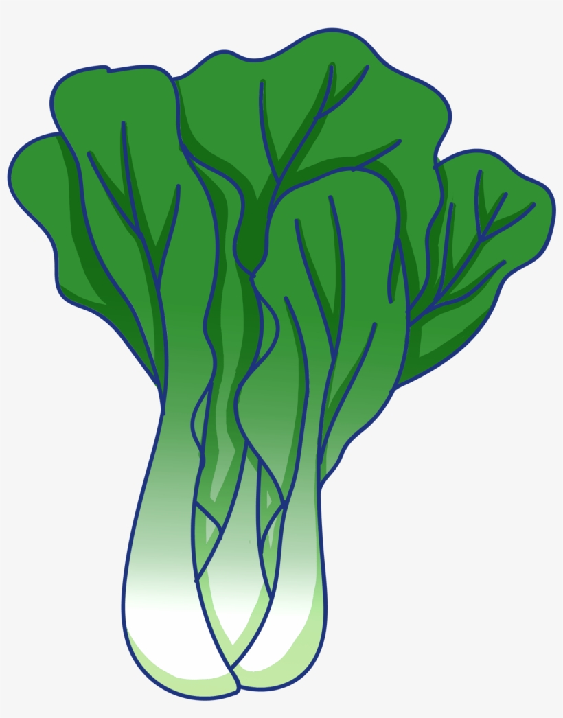 Vegetable Leaf Green Rapeseed Food Png And Psd - Hinh Ve Rau Cai, transparent png download