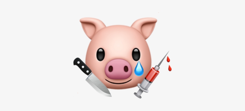 Domestic Pig, transparent png download