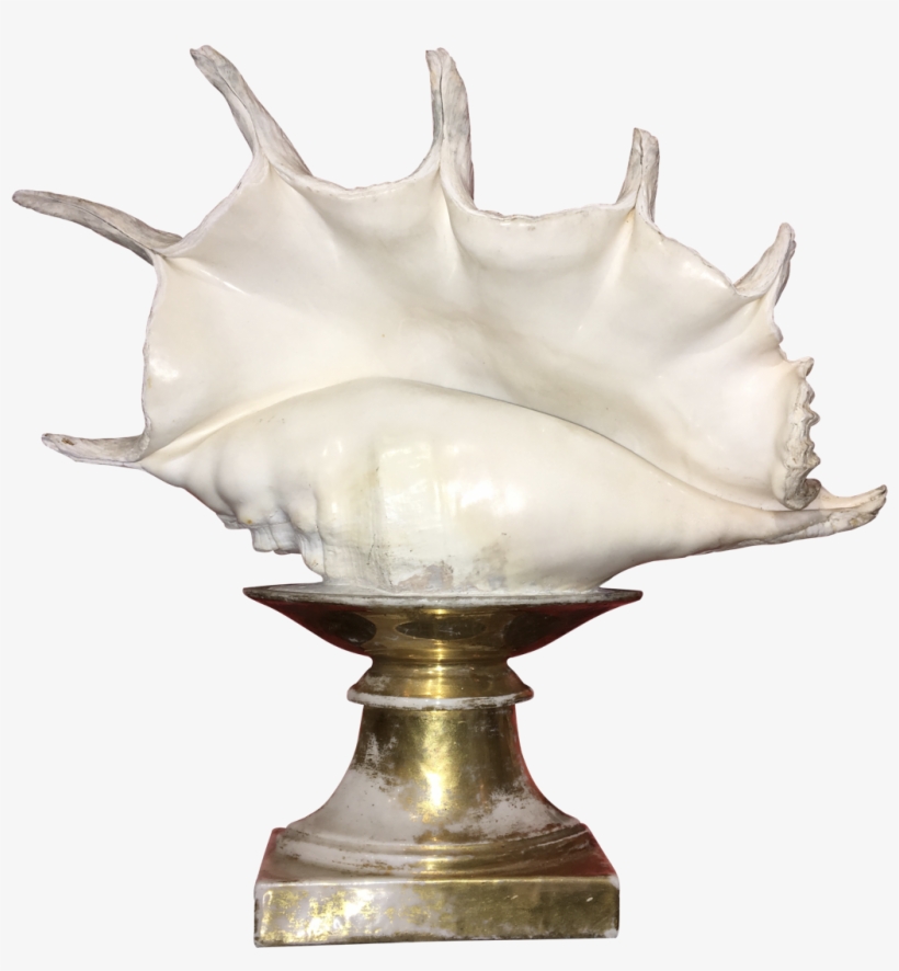 Conch Shell On Old Paris Stand - Lamp, transparent png download