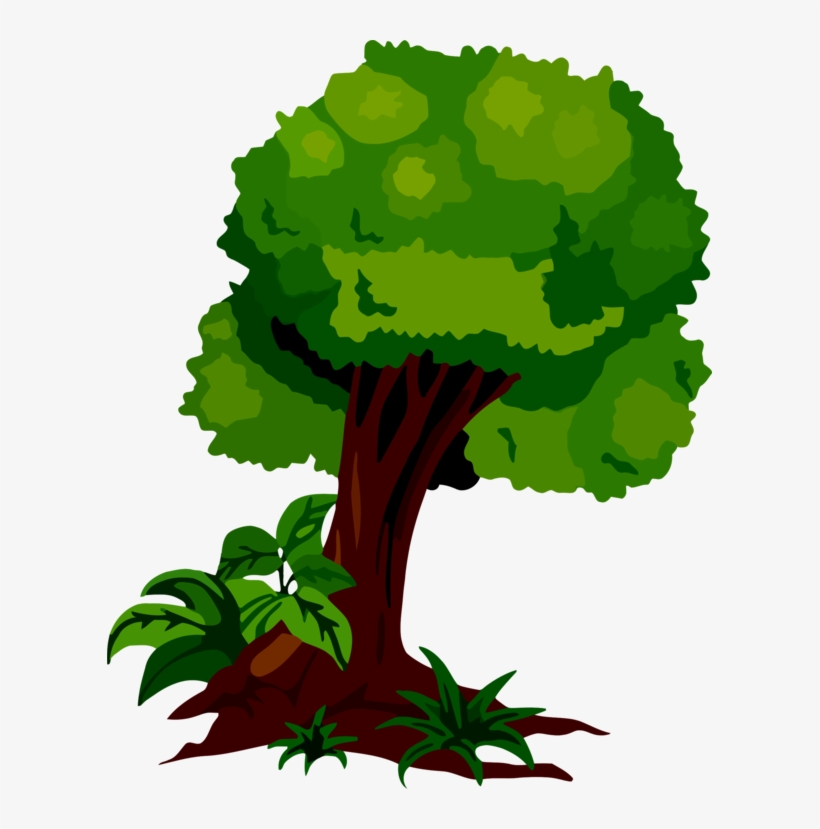 Botany Branch Flora Leaf Plants - Botany Clipart, transparent png download