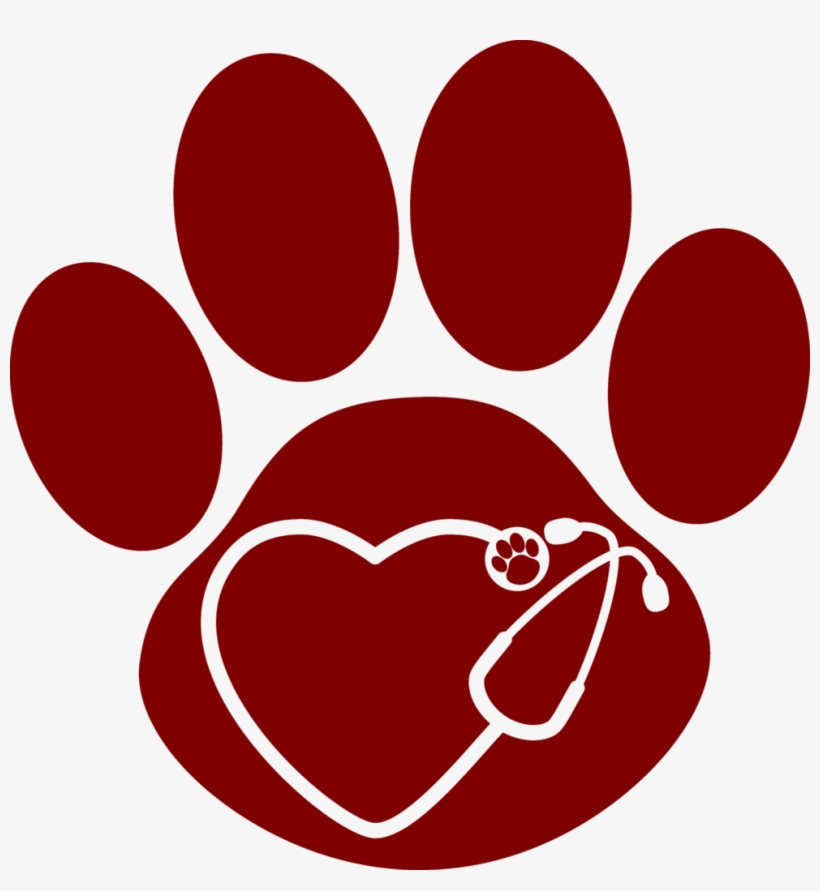 Paw With Stethoscope Decal - Blue Paw Prints Transparent PNG - 986x1024