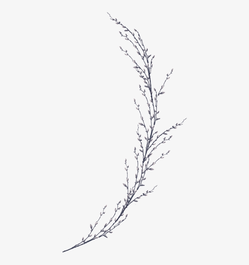 A - Twig, transparent png download