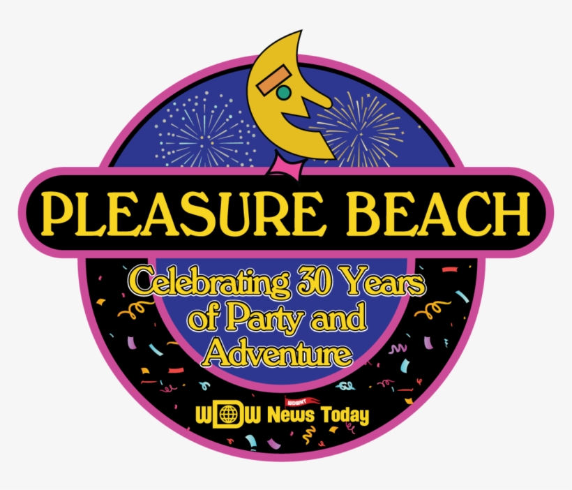 Join Us As We Celebrate 30 Years Of Disney's Hollywood - Christmas Owl, transparent png download