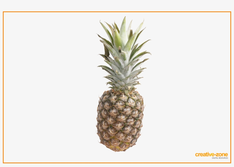 Yaolang Samsung Galaxy S9 Case, Watercolor Pineapples - Pineapple, transparent png download