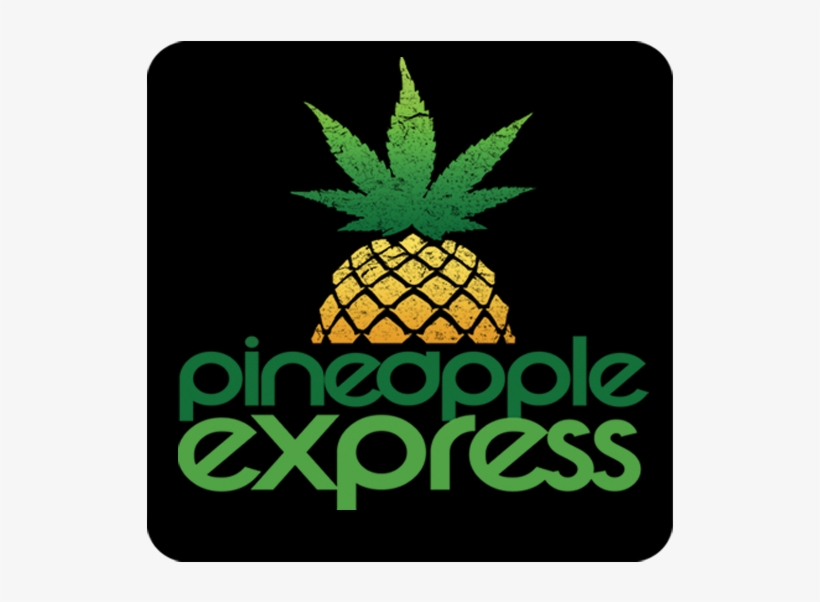 Hustler Theresa Flynt Pineapple Express Pineapple Transparent Png 622x643 Free Download On Nicepng