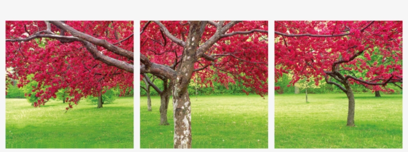 Red Tree 3 Piece Wall Decor - Triptych, transparent png download