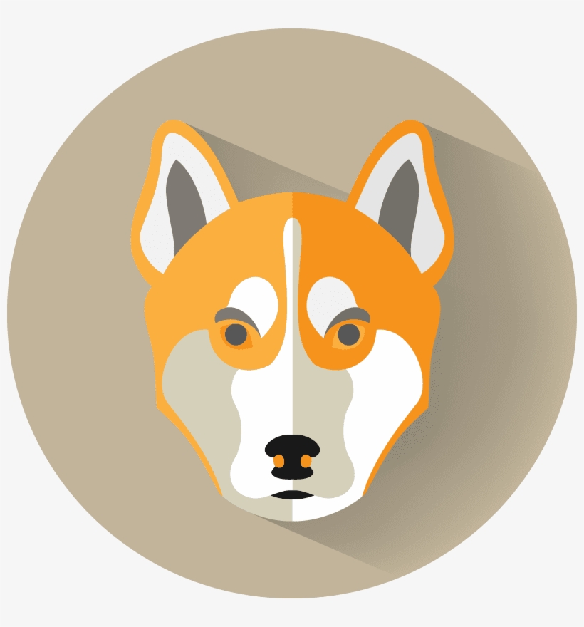 Dingo - Basenji, transparent png download