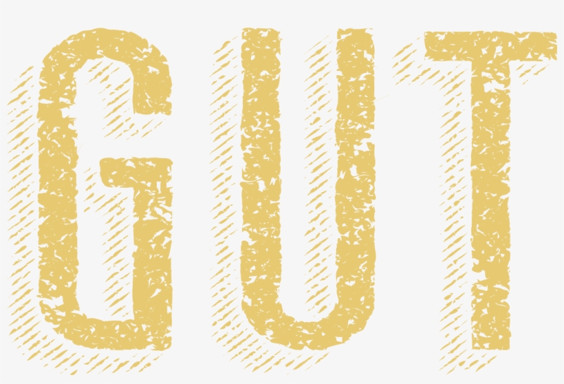 Don't Let Painful Irritable Bowel Syndrome Symptoms - Calligraphy, transparent png download