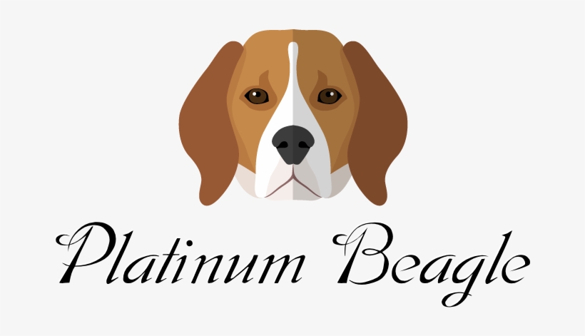 Platinum Beagle Puppies - Love My Beagle Throw Blanket, transparent png download