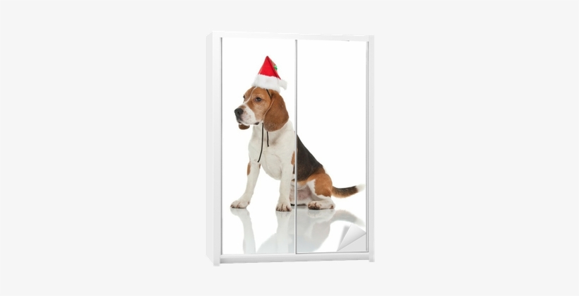 Christmas Day, transparent png download