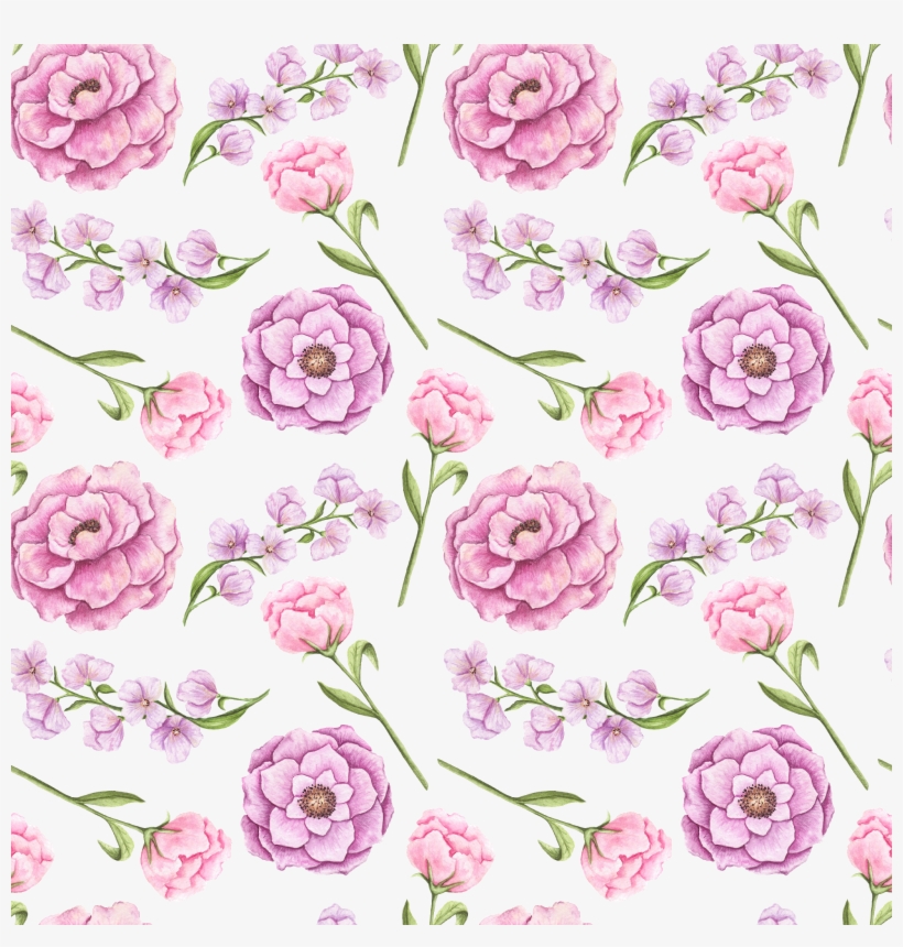 Sock, transparent png download