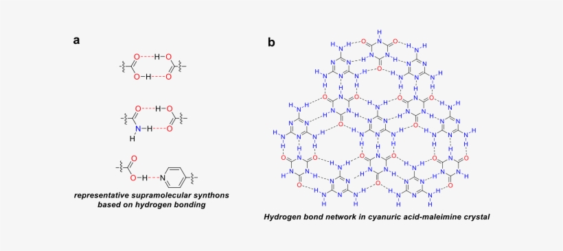 Representative Hydrogen Bond Patterns In Supramolecular - Hydrogen Bonding Supramolecular Chemistry, transparent png download