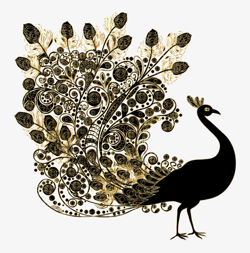 Bird Indian Peafowl - Beautiful Peacock, transparent png download