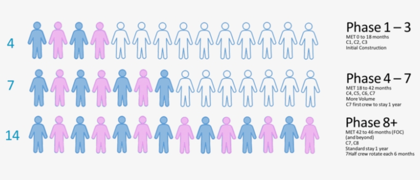 Summary Of Crew Profiles - Illustration, transparent png download