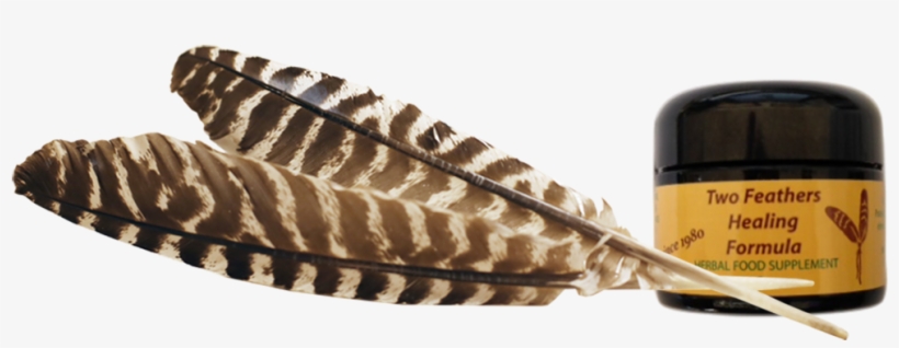 I Would Like To Honor Robert Roy Of Two Feathers, And - Portable Network Graphics, transparent png download