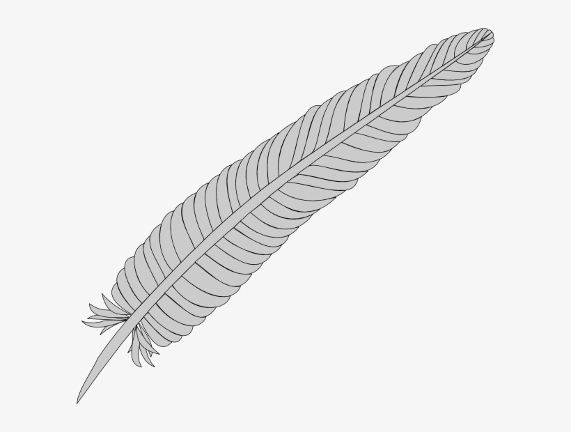 Feather Clipart Free Images Clipartcow Clipartix - Pheasant Feather Clipart, transparent png download