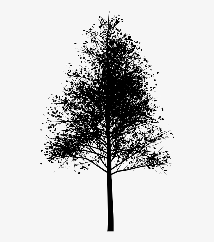 Download Png - Tree, transparent png download