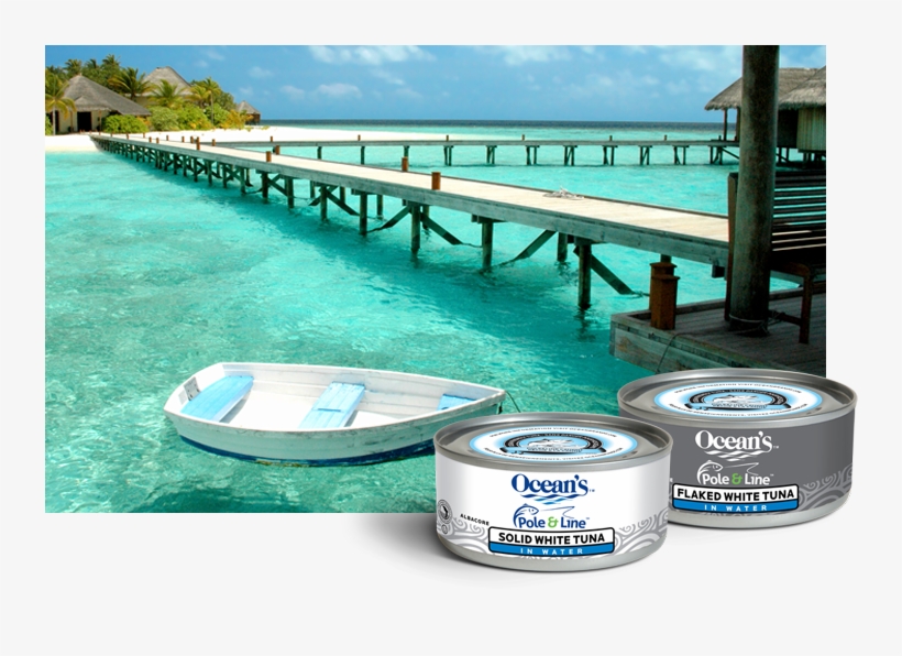 Water, transparent png download
