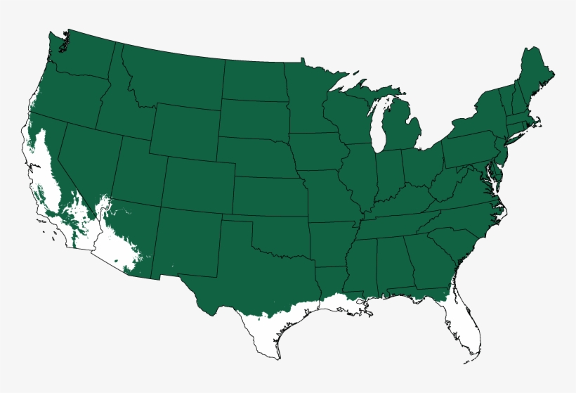 Columnar Swedish Aspen - Green River On A Map, transparent png download