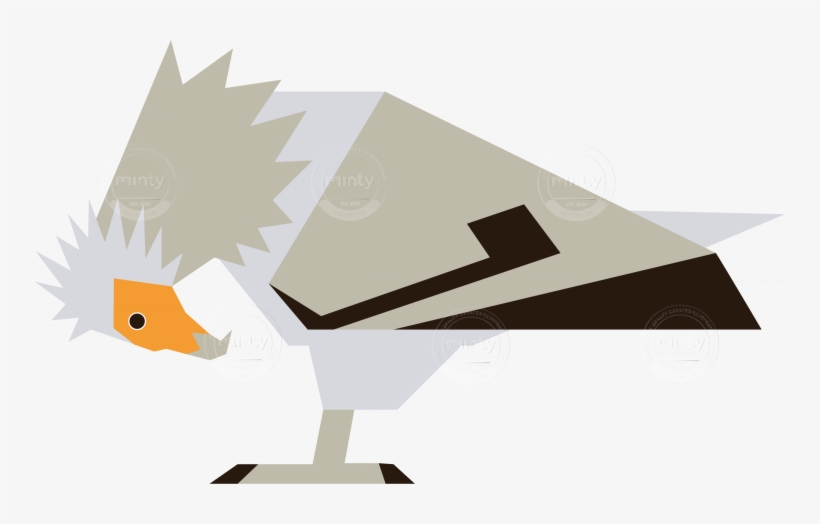 Egyptian Vulture, transparent png download