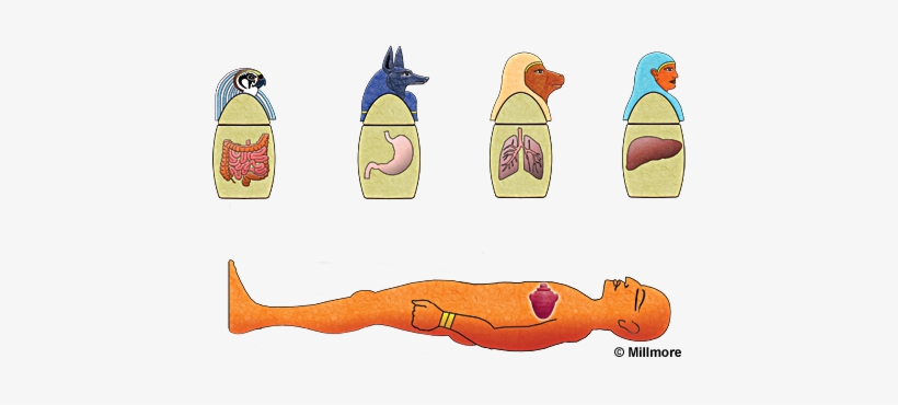 Organs In Canopic Jars, transparent png download