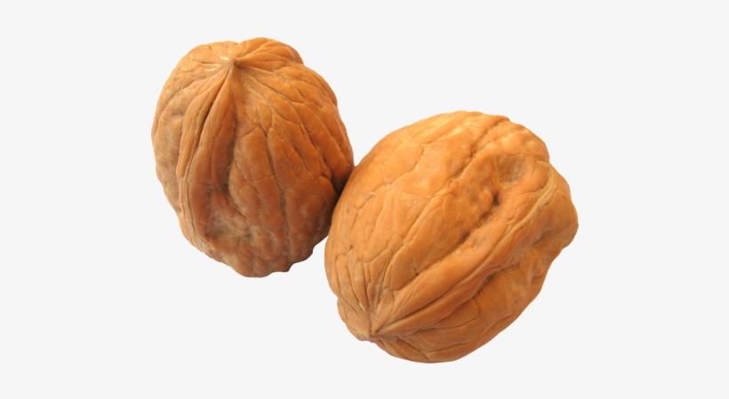 Download Walnut Png Image - Transparent Walnut Png, transparent png download