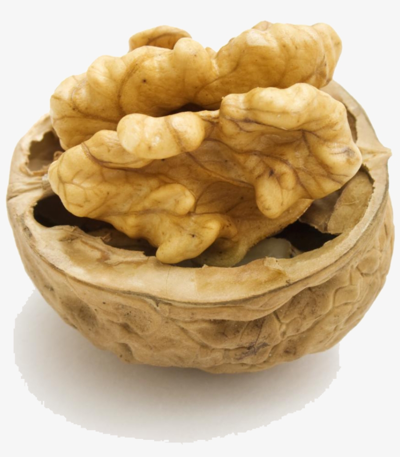 Walnut Png Hd - Matching The Seeds To Its Fruit, transparent png download