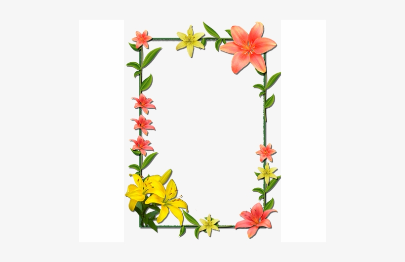 Super Molduras - Tiger Lily Hutchence 2011, transparent png download