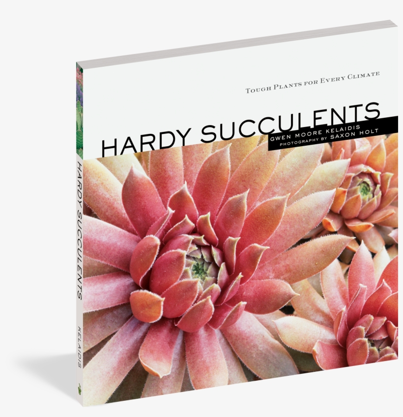 Cover - Hardy Succulents Ebook, transparent png download
