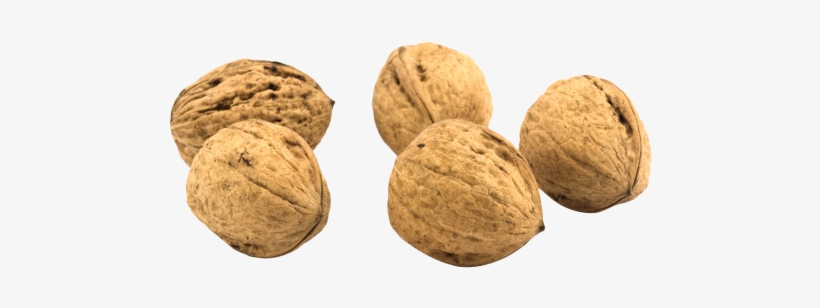 Download Walnut Png Image - Walnut Png, transparent png download