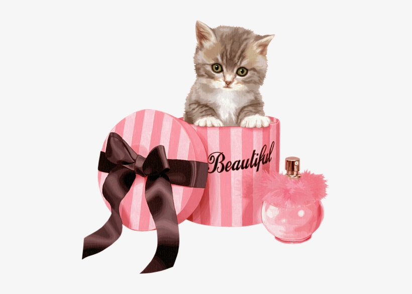 Gatti Tubes Per Grafica In Png Animal - Alex Bueno Solo Merengue, transparent png download