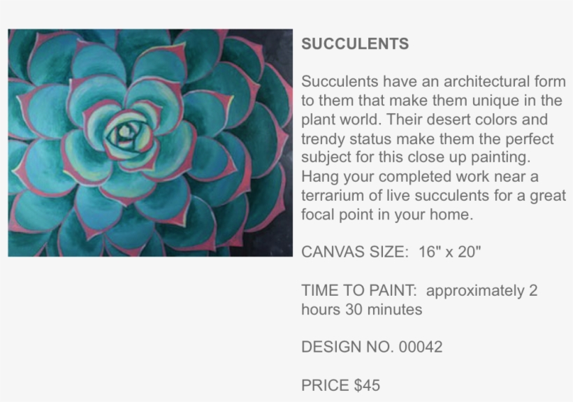 Succulents Popup Paint Studio - White Mexican Rose, transparent png download