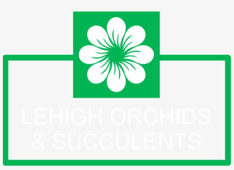 Lehigh Orchids & Succulents - Mon, transparent png download