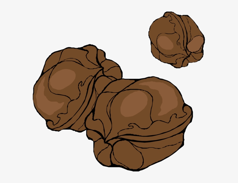 Small - Walnuts Clipart, transparent png download