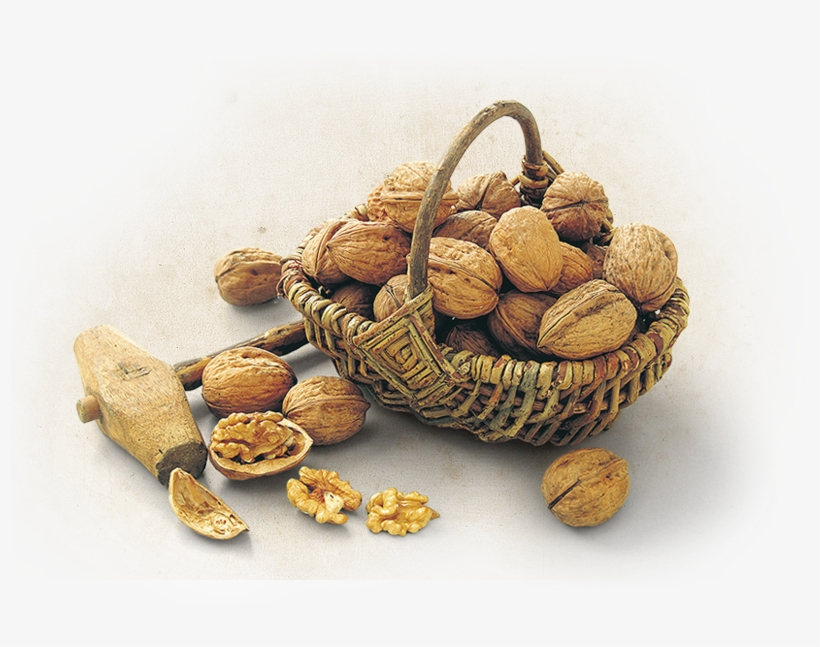 The "organic Haute Culture" For Walnuts, transparent png download