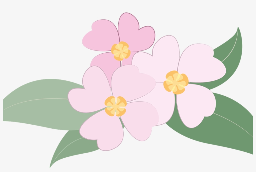 Collection Of Free Transparent Plants Pink Download - Impatiens, transparent png download
