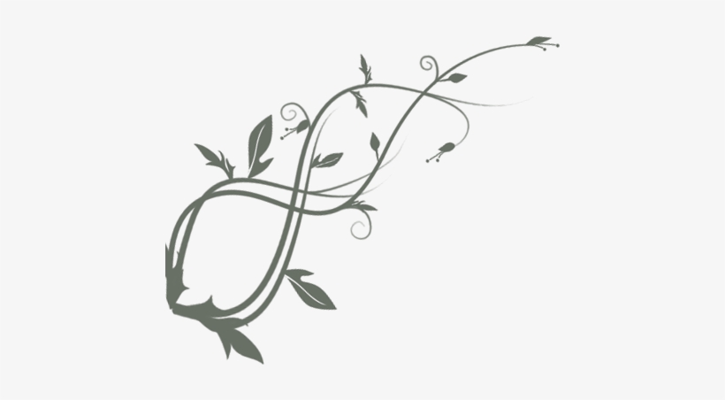 Vine Logo Transparent Flower Vines Png Ann Arbor Massage, - Flowering Vines Png Transparent Background, transparent png download