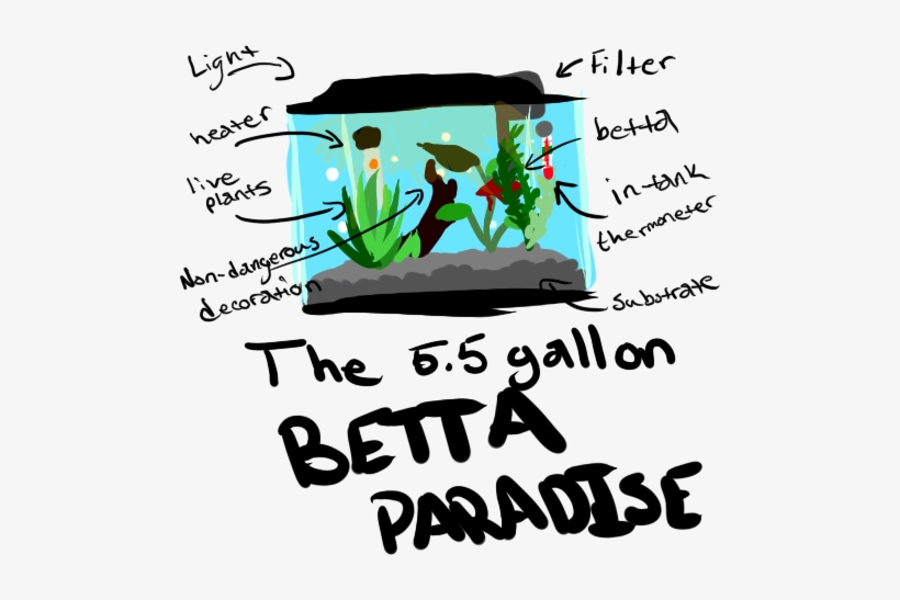 Why Do I Need A - 5.5 Gallon Planted Betta Tank, transparent png download