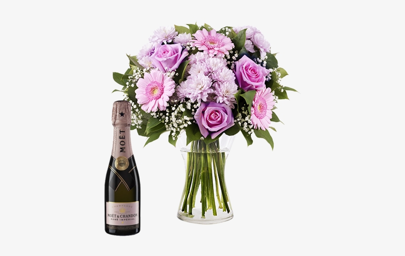 Everything In Pink - Transvaal Daisy, transparent png download