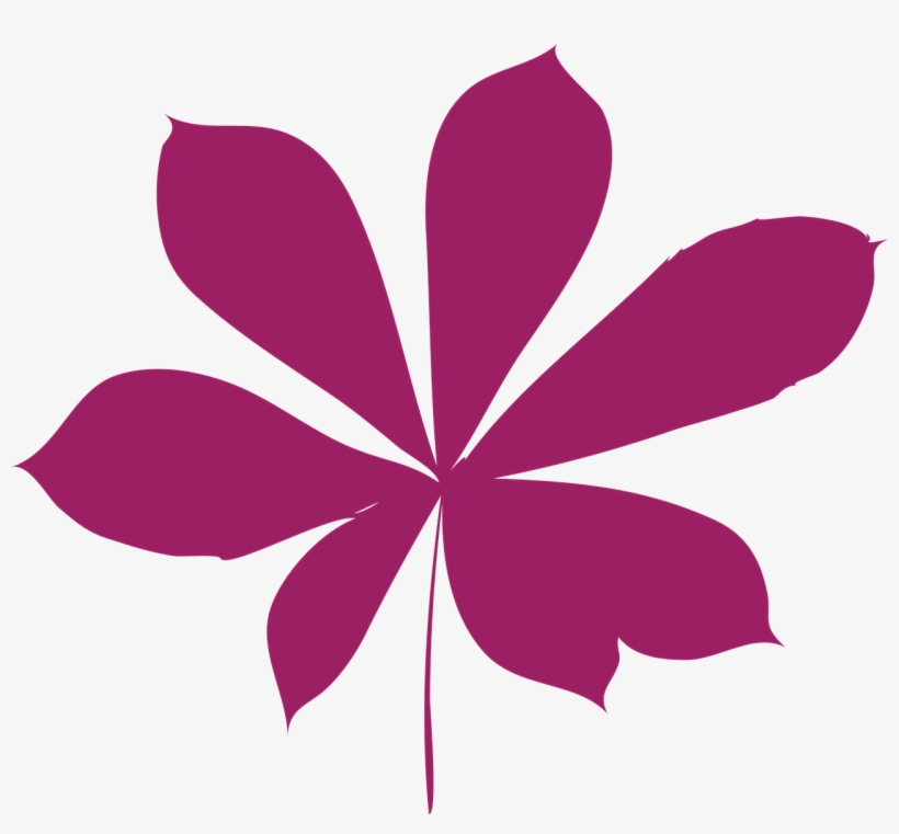 Leaf Autumn Leaf Dry Leaf Transparent Image - Leaf, transparent png download