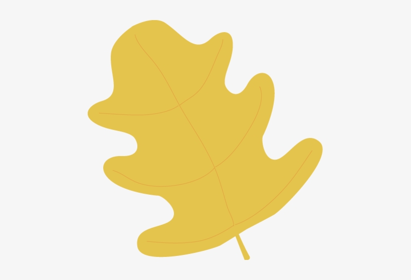 Yellow Oak Autumn Leaf - Yellow Fall Leaves Clipart, transparent png download