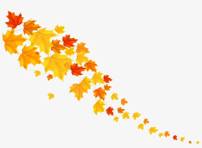 Leafs Png Image Gallery Yopriceville View Full - Leafs Png, transparent png download