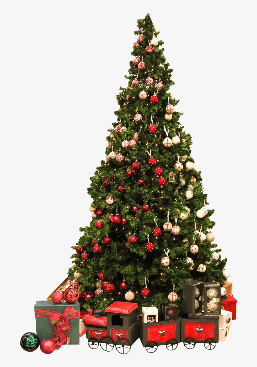 Christmas Tree And Gifts - Christmas Tree And Gift Transparent, transparent png download