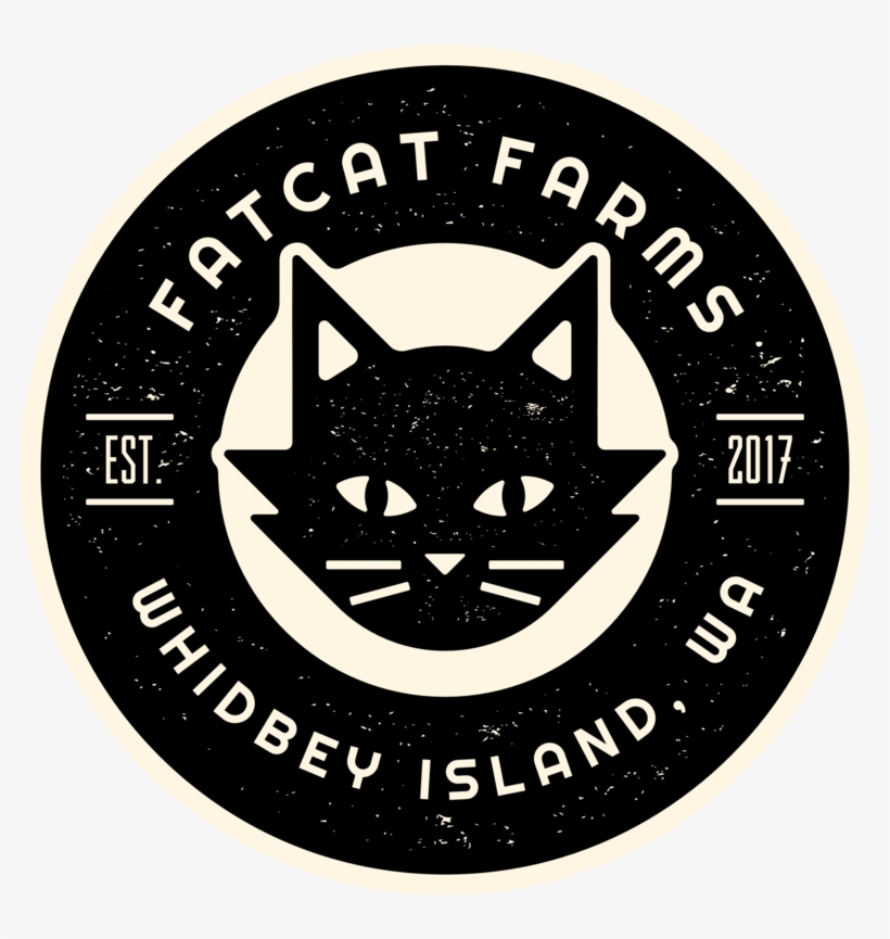 Fatcat3, transparent png download