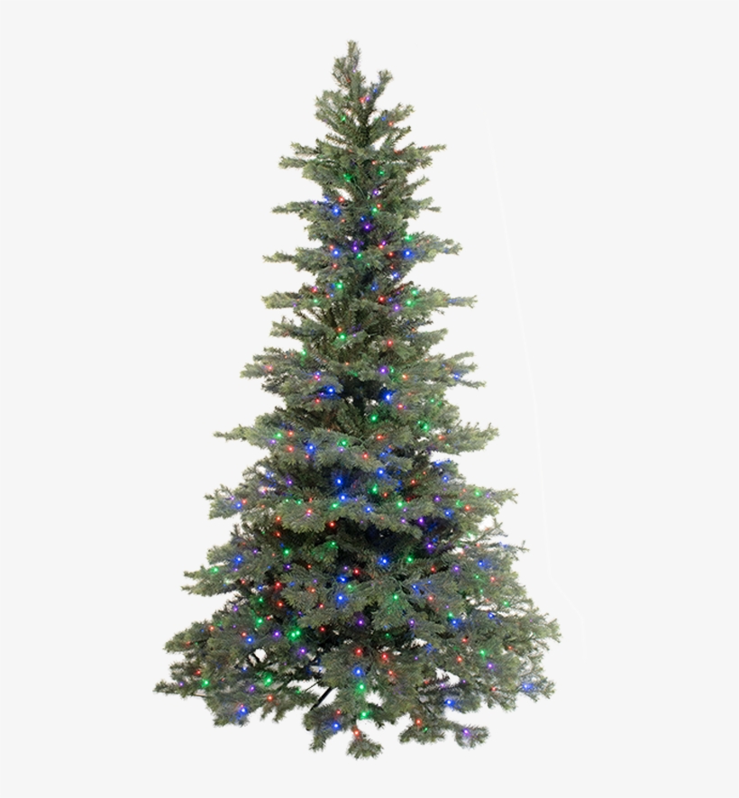 Christmas Trees - Madrid, transparent png download